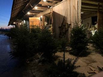 Ein Bild, das Gebäude, draußen, Pflanze, Himmel enthält.
Automatisch generierte Beschreibung